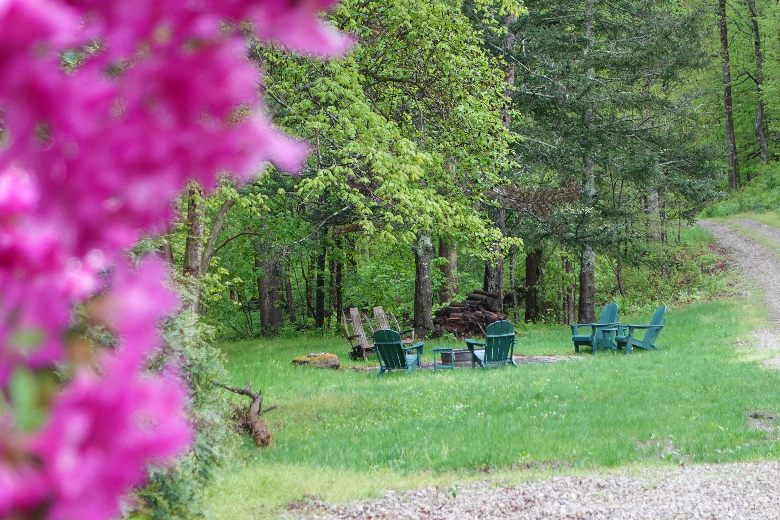 an outdoor fire pit in the background and in focus, with flowers in the foreground